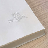 Owl on a branch