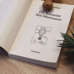 Hot air balloon bookplate