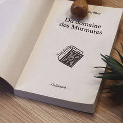 Ex-libris stamp, large book